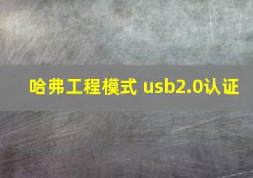 哈弗工程模式 usb2.0认证